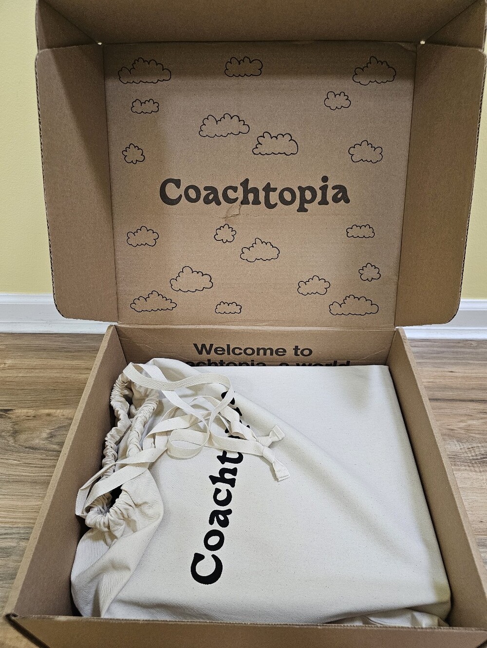 New Cloud Handle Tote in Coachtopia Leather - Picture 14 of 17